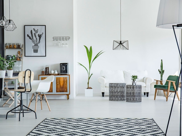 Well Renovated studio