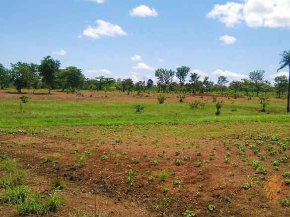 Land For Sale At Kasoa